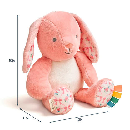 Sweetie Snuggles Ana the Bunny - Best for Ages 0 to 2 - US 4959